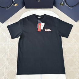 V공장 DIOR 2025SS